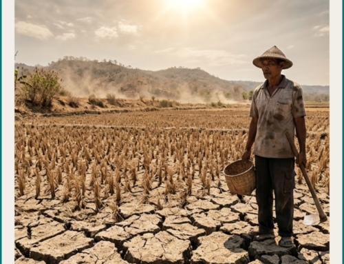 Menghadapi “El Nino Godzilla” 2026: Mampukah Nanoteknologi Menjadi Penyelamat Pertanian Indonesia?