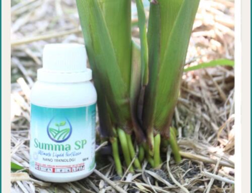 Memahami Teknologi Nano: Masa Depan Budidaya yang Presisi dan Berkelanjutan